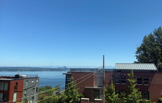 Stunning 5 bedroom Craftsman View Home in Leschi!