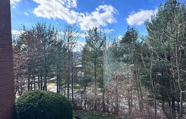 2 beds, 1 bath, 644 sqft, $975, Unit Pine Cone Village B-25