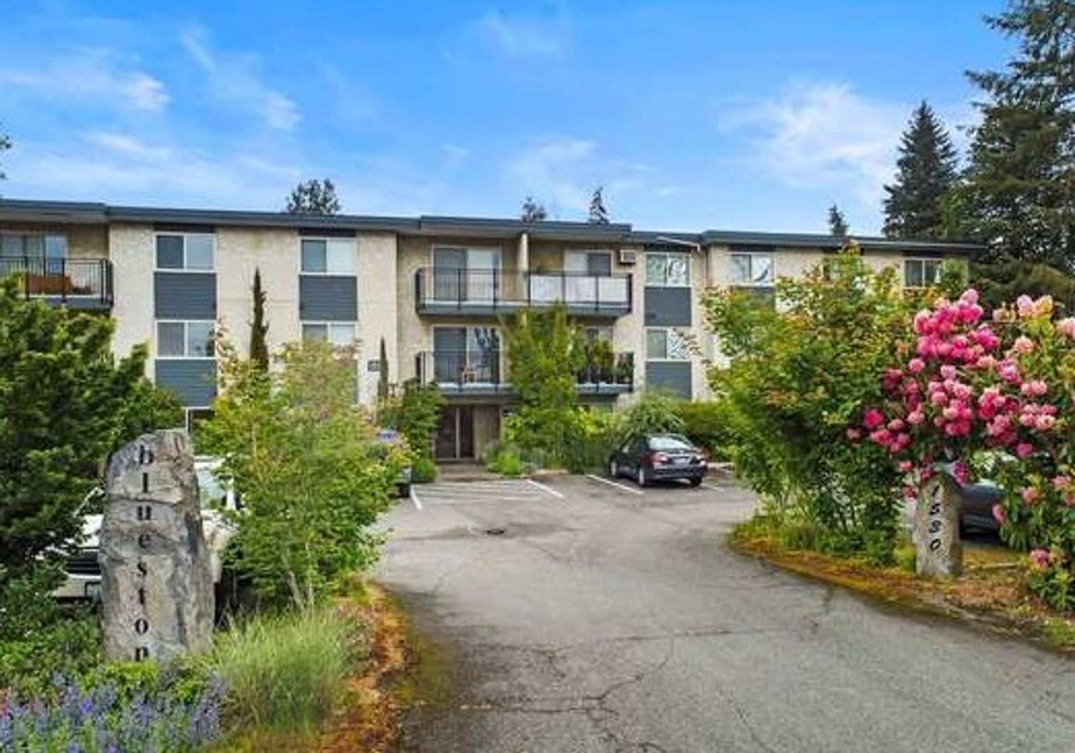 Bluestone Apartments