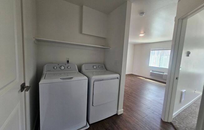 1 bed, 1 bath, $1,300, Unit 202