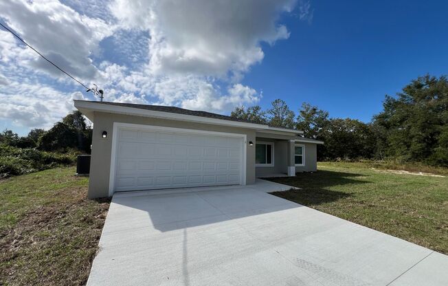 Beautiful, BRAND NEW 3 Bedroom, 2 Bathroom Home in Ocklawaha!!