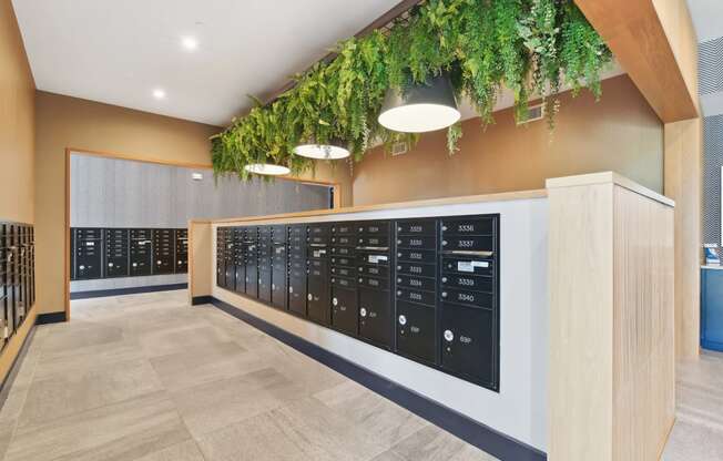 the lockers in the building are decorated with plants