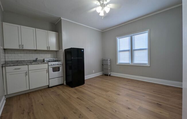 Studio, 1 bath, $785, Unit 310