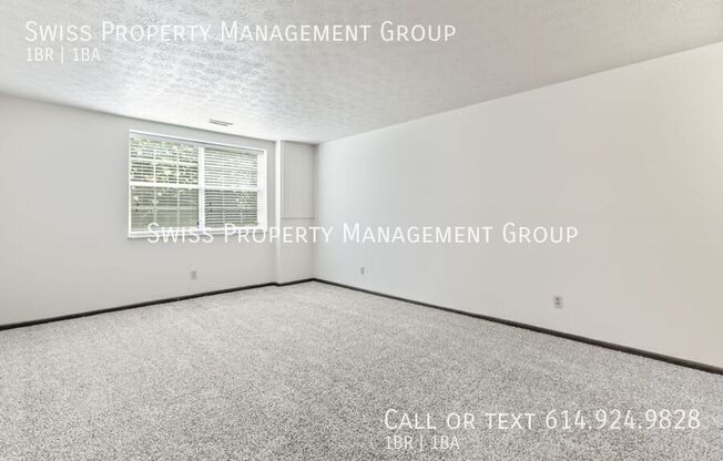 4577 OLENTANGY RIV RD