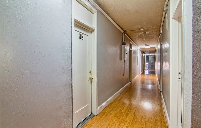 Studio, 1 bath, 196 sqft, $1,095, Unit 19