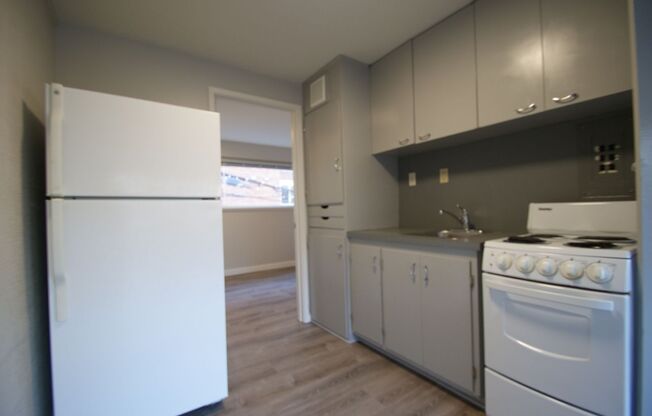 1 bed, 1 bath, 393 sqft, $1,150, Unit 314