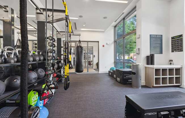 a gym with a punching bag and weights on the wall