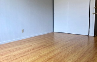 Studio, 1 bath, 400 sqft, $1,230, Unit 319N