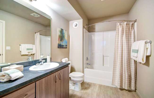 A bathroom with a toilet, sink, and shower.