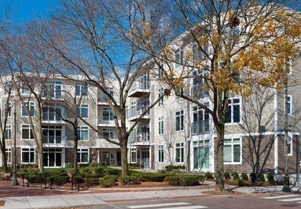 2 beds, 2 baths, 1,175 sqft, $4,500, Unit 302