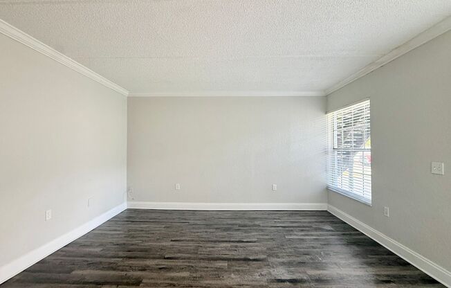 1 bed, 1 bath, 439 sqft, $1,095