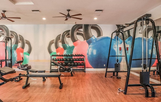 Gym with Free Weights at Apartments in North Phoenix AZ