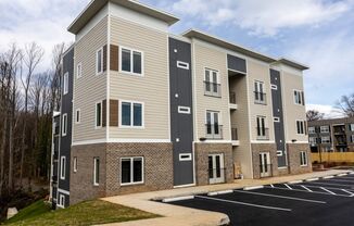 The Collective on Commonwealth