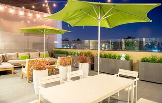 M Lofts