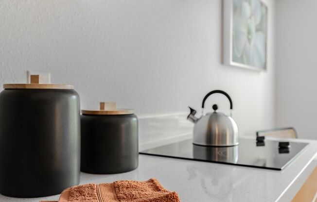 Studio, 1 bath, 313 sqft, $1,295, Unit 131