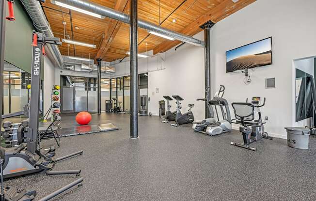 a gym with cardio equipment and weights on the floor and a tv