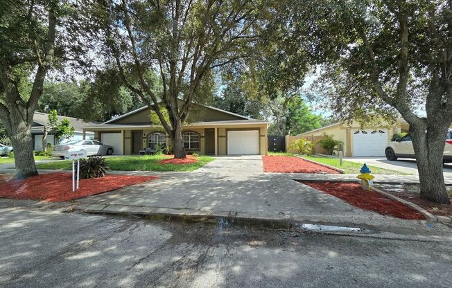 Newly Remodeled 3-Bedroom, 2-bathroom with garage for rent Near Busch Gardens & USF!