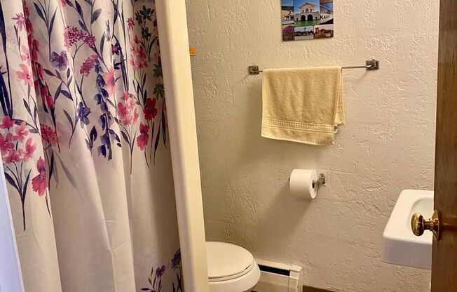 1 bed, 1 bath, 450 sqft, $1,165, Unit 304