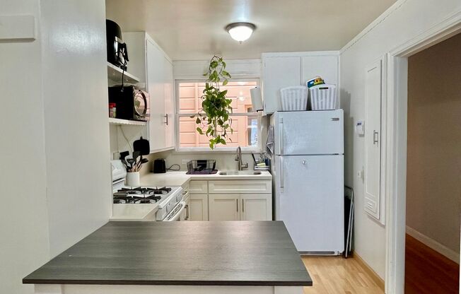 Tree Lined Street Fantastic Location- Cole Valley 1 bed/1 bath Apt