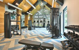 A modern gym with weights, cardio equipment, a TV, mirrors, a ceiling fan, an A-frame ceiling, and large windows with ample natural light.