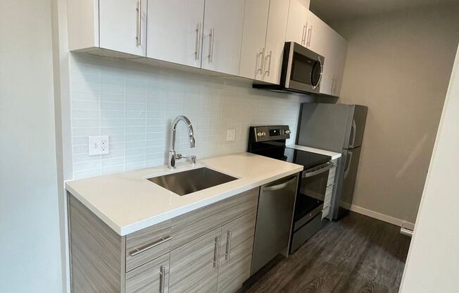 Studio, 1 bath, 243 sqft, $1,295, Unit 207