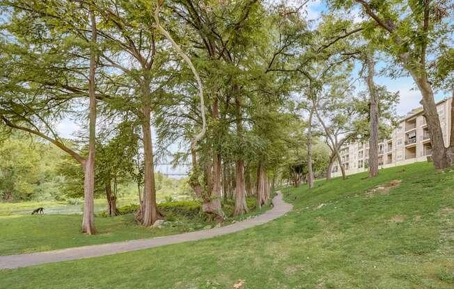 a path through a park with trees and a building in the background