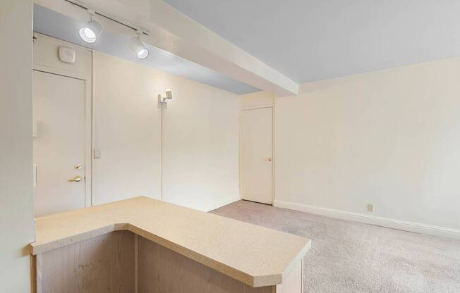 a empty living room with a counter top and a closet