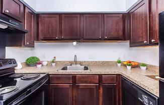 1 bed, 1 bath, 600 sqft, $999