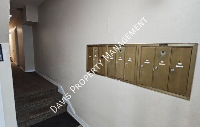 3911 PRESCOTT ACKIER 02