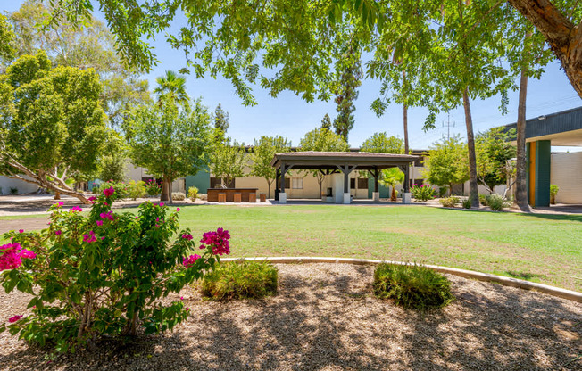 Lush green courtyard at Sono Tempe Apartments in Tempe, Arizona featuring open lawn space surrounded by palm trees and apartment homes.