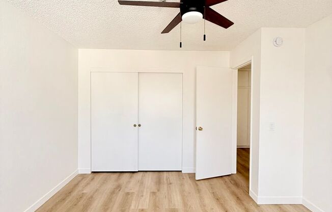 1 bed, 1 bath, $2,095, Unit 3
