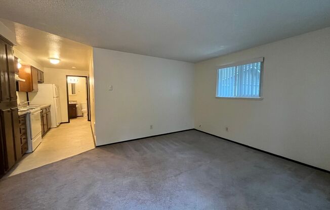 1 bed, 1 bath, 510 sqft, $1,175