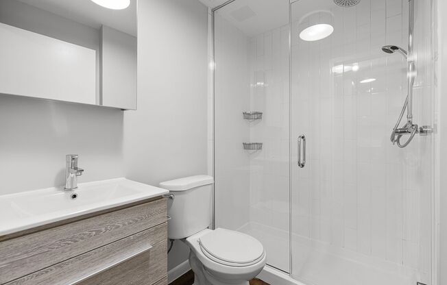 1 bed, 1 bath, 379 sqft, $1,750, Unit 304