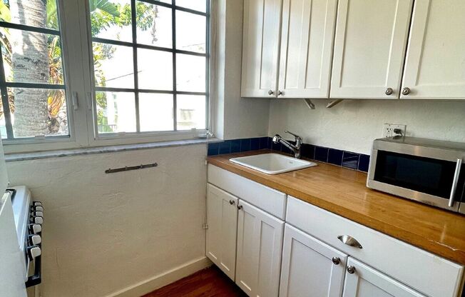 Studio, 1 bath, 446 sqft, $1,750, Unit 12