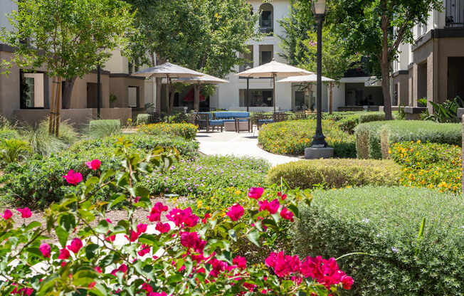 A garden with pink flowers in the foreground and a building in the background.