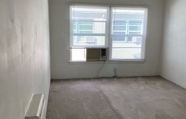 Studio, 1 bath, 500 sqft, $1,250, Unit 146 Apt. 8