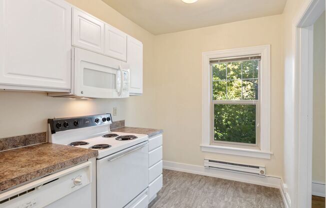 Studio, 1 bath, 470 sqft, $1,450, Unit 412