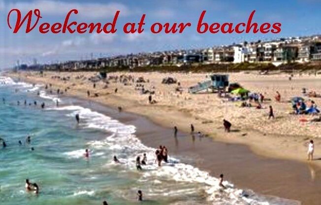 1 bed, 2 baths, 1,000 sqft, $3,675, Unit 317