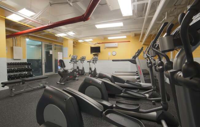 4 beds, 3 baths, 1,800 sqft, $11,000, Unit 5A