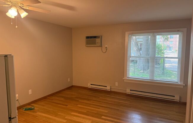 Studio, 1 bath, 350 sqft, $1,100, Unit Unit 109