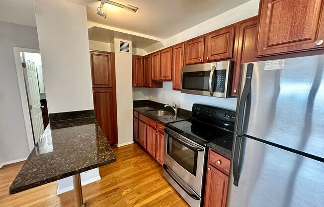 1 bed, 1 bath, 700 sqft, $1,900, Unit 418-1609