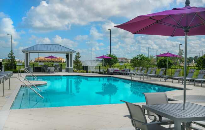 Swimming Pool at Palms at Magnolia Park in Riverview, FL