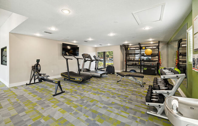 Fitness cetner with exercise equipment and a television