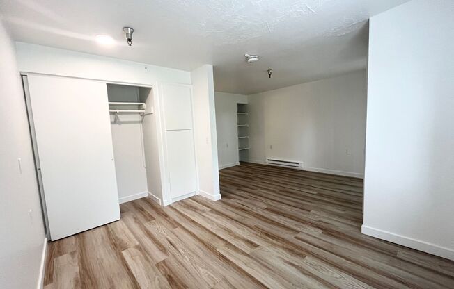 Studio, 1 bath, 480 sqft, $1,395, Unit 118