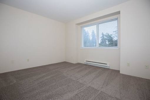 A room with a carpeted floor and a window showing trees outside.