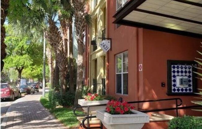 2411 W. Horatio St #514