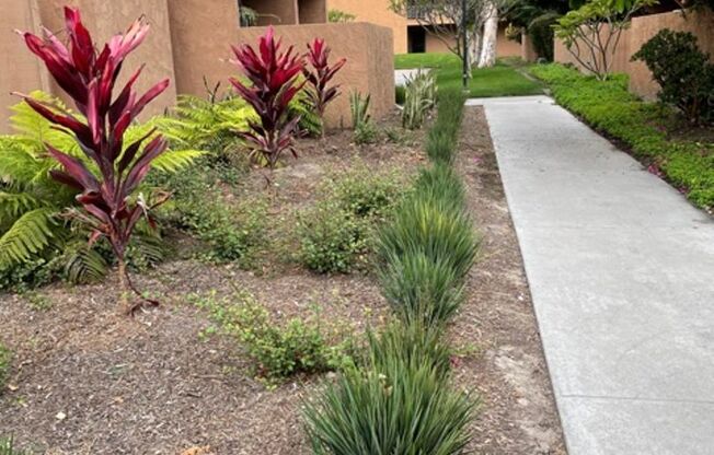 1 bed, 1 bath, 754 sqft, $2,595, Unit Warner #216