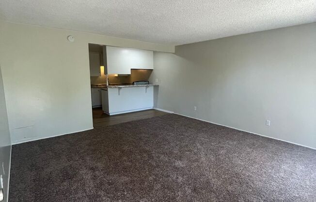 1 bed, 1 bath, 756 sqft, $1,795, Unit Unit 302