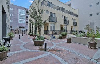 1 Bed/1 Bath in the Heart of Downtown San Jose
