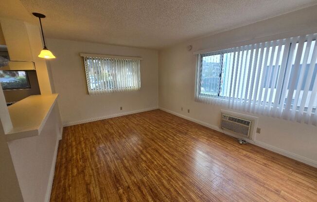 Studio, 1 bath, 470 sqft, $1,695, Unit 1